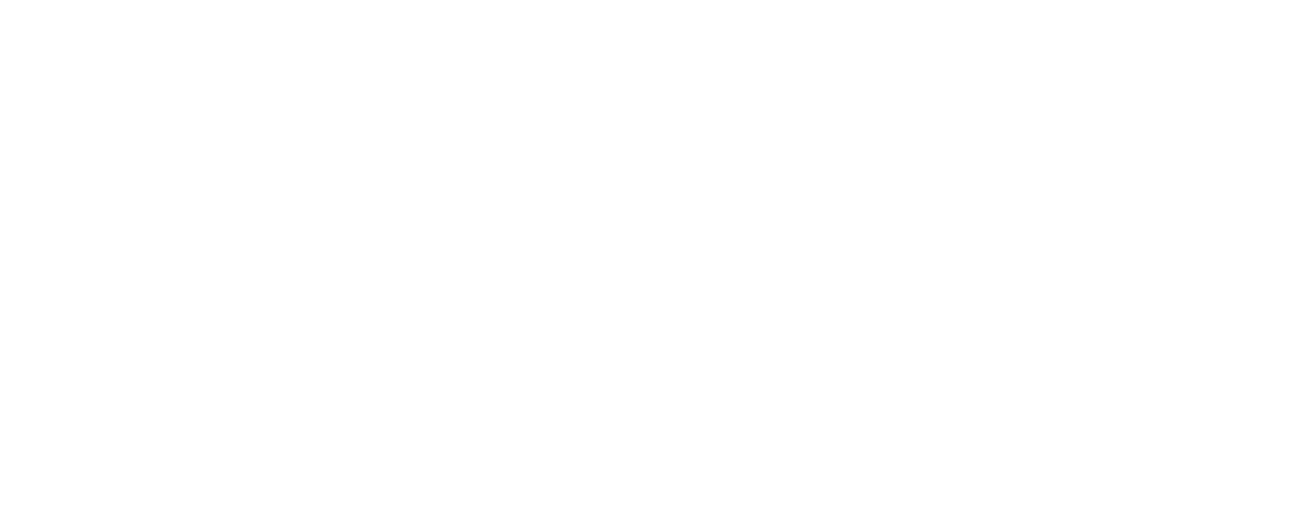 Logo Salon 2025